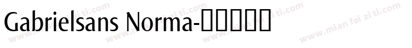 Gabrielsans Norma字体转换
